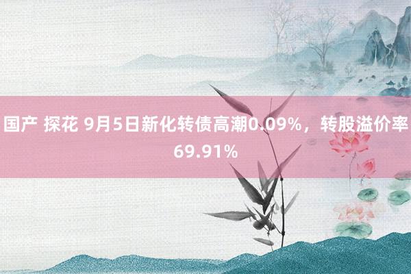 国产 探花 9月5日新化转债高潮0.09%，转股溢价率69.91%