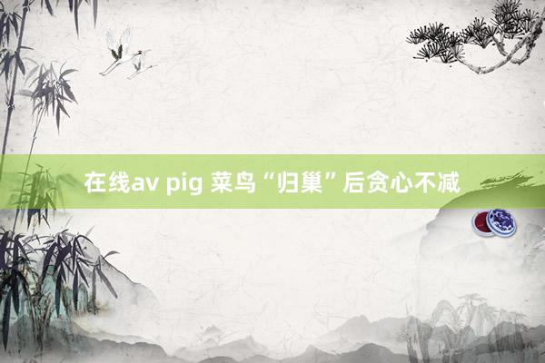 在线av pig 菜鸟“归巢”后贪心不减