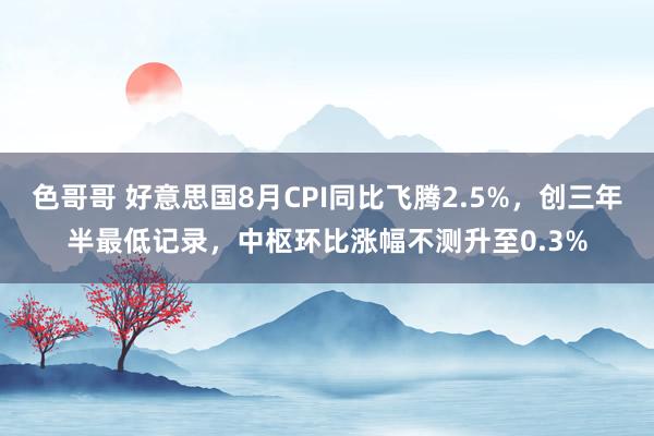 色哥哥 好意思国8月CPI同比飞腾2.5%，创三年半最低记录，中枢环比涨幅不测升至0.3%