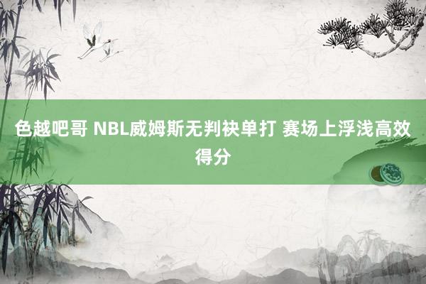 色越吧哥 NBL威姆斯无判袂单打 赛场上浮浅高效得分