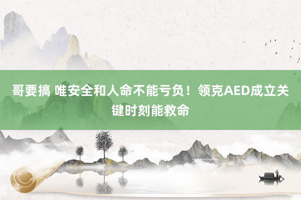 哥要搞 唯安全和人命不能亏负！领克AED成立关键时刻能救命