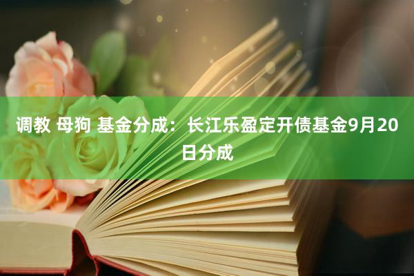 调教 母狗 基金分成：长江乐盈定开债基金9月20日分成