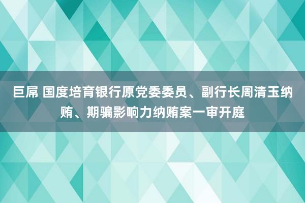 巨屌 国度培育银行原党委委员、副行长周清玉纳贿、期骗影响力纳贿案一审开庭