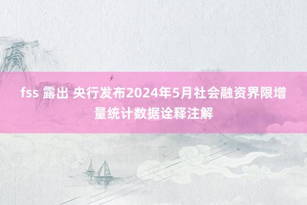 fss 露出 央行发布2024年5月社会融资界限增量统计数据诠释注解