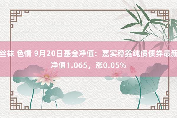 丝袜 色情 9月20日基金净值：嘉实稳鑫纯债债券最新净值1.065，涨0.05%