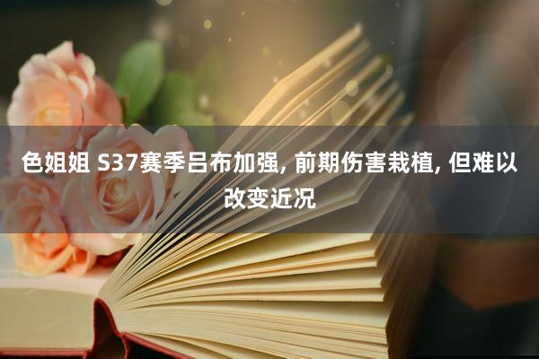 色姐姐 S37赛季吕布加强， 前期伤害栽植， 但难以改变近况