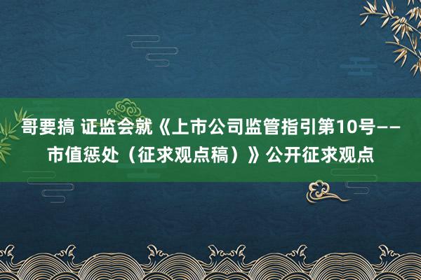 哥要搞 证监会就《上市公司监管指引第10号——市值惩处（征求观点稿）》公开征求观点