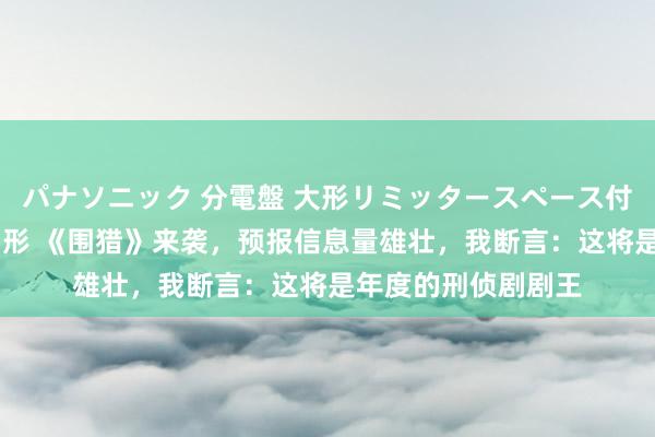 パナソニック 分電盤 大形リミッタースペース付 露出・半埋込両用形 《围猎》来袭，预报信息量雄壮，我断言：这将是年度的刑侦剧剧王