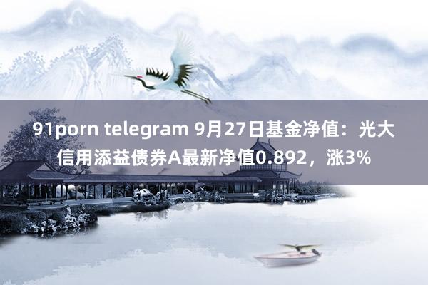 91porn telegram 9月27日基金净值：光大信用添益债券A最新净值0.892，涨3%