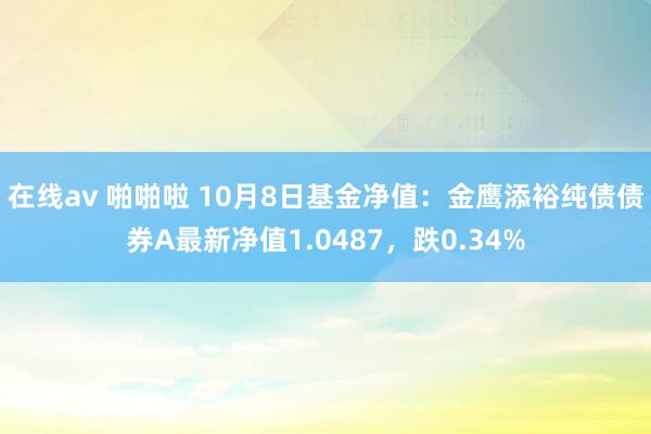 在线av 啪啪啦 10月8日基金净值：金鹰添裕纯债债券A最新净值1.0487，跌0.34%