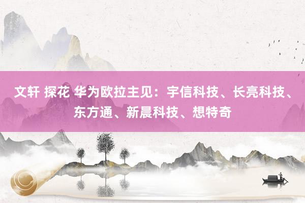 文轩 探花 华为欧拉主见：宇信科技、长亮科技、东方通、新晨科技、想特奇