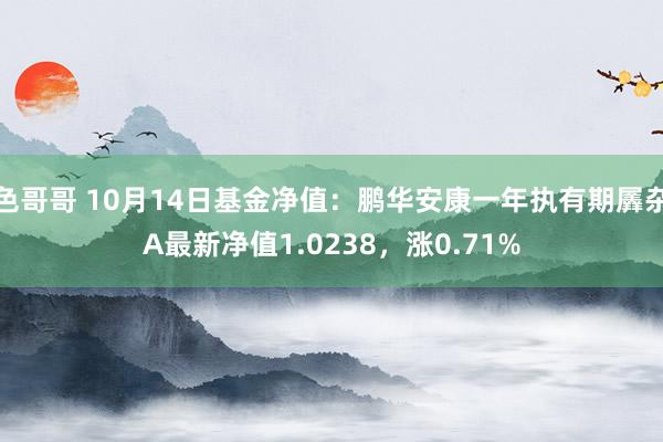 色哥哥 10月14日基金净值：鹏华安康一年执有期羼杂A最新净值1.0238，涨0.71%