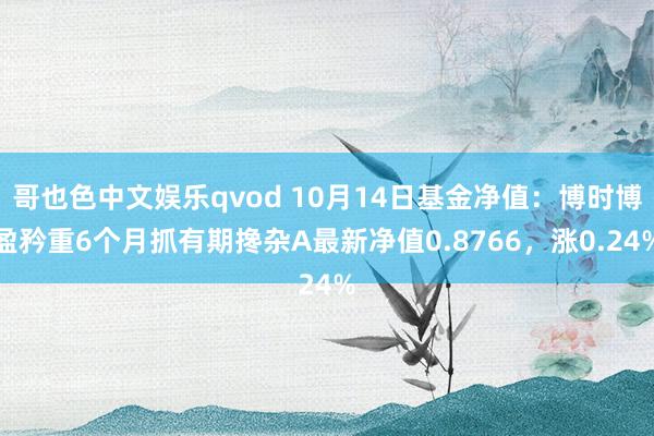 哥也色中文娱乐qvod 10月14日基金净值：博时博盈矜重6个月抓有期搀杂A最新净值0.8766，涨0.24%