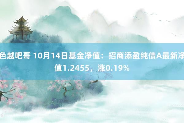 色越吧哥 10月14日基金净值：招商添盈纯债A最新净值1.2455，涨0.19%