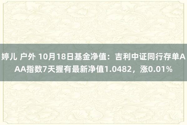 婷儿 户外 10月18日基金净值：吉利中证同行存单AAA指数7天握有最新净值1.0482，涨0.01%