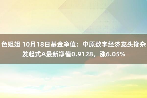 色姐姐 10月18日基金净值：中原数字经济龙头搀杂发起式A最新净值0.9128，涨6.05%