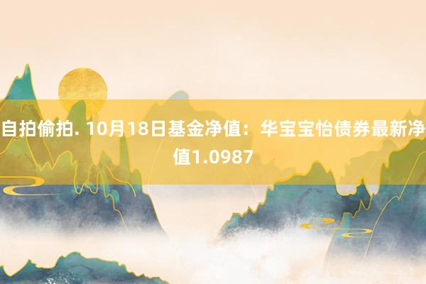 自拍偷拍. 10月18日基金净值：华宝宝怡债券最新净值1.0987