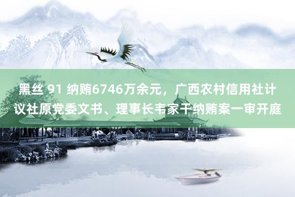 黑丝 91 纳贿6746万余元，广西农村信用社计议社原党委文书、理事长韦家干纳贿案一审开庭