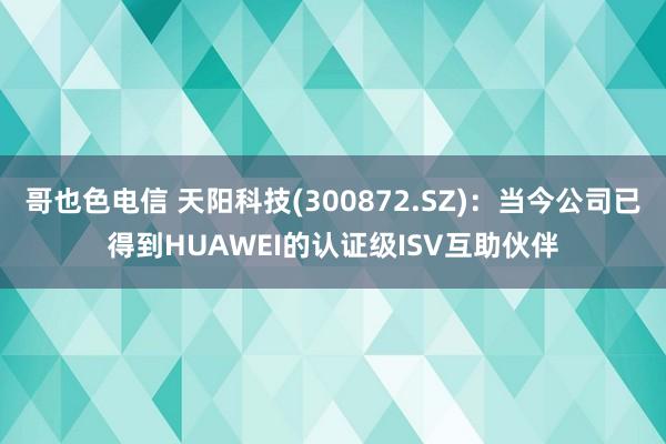 哥也色电信 天阳科技(300872.SZ)：当今公司已得到HUAWEI的认证级ISV互助伙伴