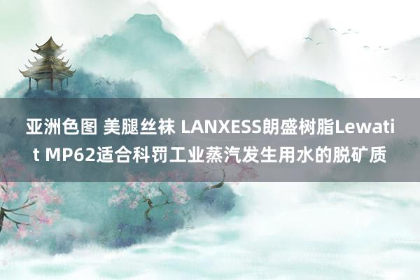 亚洲色图 美腿丝袜 LANXESS朗盛树脂Lewatit MP62适合科罚工业蒸汽发生用水的脱矿质