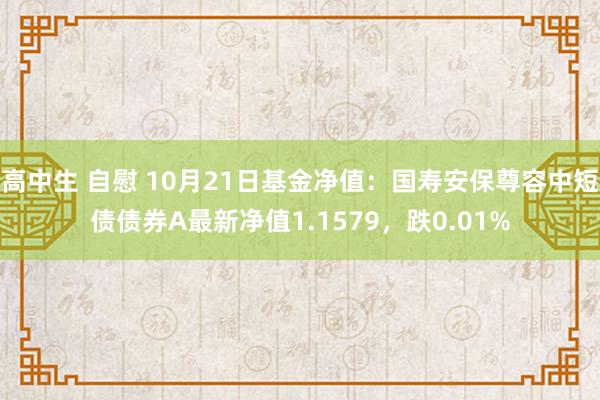 高中生 自慰 10月21日基金净值：国寿安保尊容中短债债券A最新净值1.1579，跌0.01%