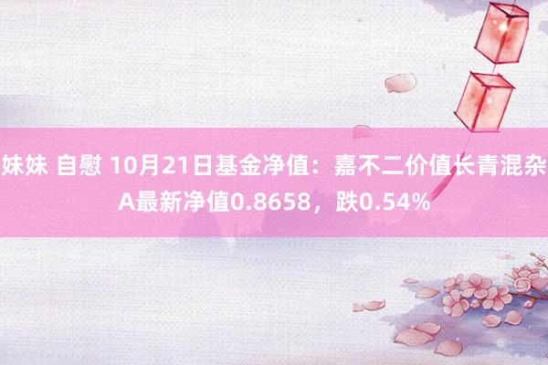 妹妹 自慰 10月21日基金净值：嘉不二价值长青混杂A最新净值0.8658，跌0.54%