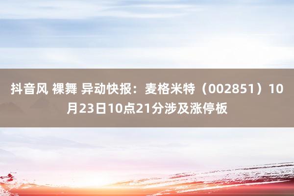 抖音风 裸舞 异动快报：麦格米特（002851）10月23日10点21分涉及涨停板