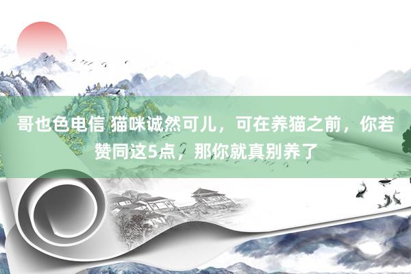 哥也色电信 猫咪诚然可儿，可在养猫之前，你若赞同这5点，那你就真别养了