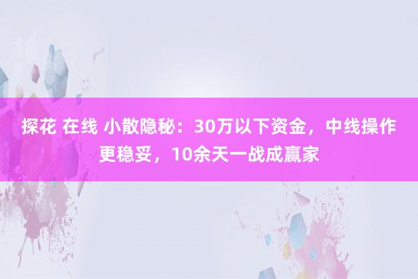 探花 在线 小散隐秘：30万以下资金，中线操作更稳妥，10余天一战成赢家