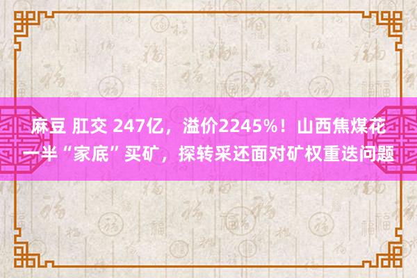 麻豆 肛交 247亿，溢价2245%！山西焦煤花一半“家底”买矿，探转采还面对矿权重迭问题