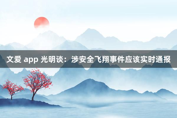 文爱 app 光明谈：涉安全飞翔事件应该实时通报