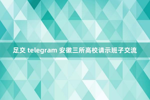 足交 telegram 安徽三所高校请示班子交流