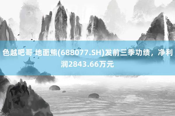 色越吧哥 地面熊(688077.SH)发前三季功绩，净利润2843.66万元