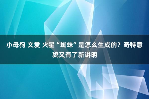 小母狗 文爱 火星“蜘蛛”是怎么生成的？奇特意貌又有了新讲明