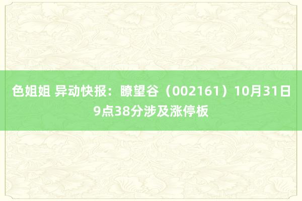 色姐姐 异动快报：瞭望谷（002161）10月31日9点38分涉及涨停板