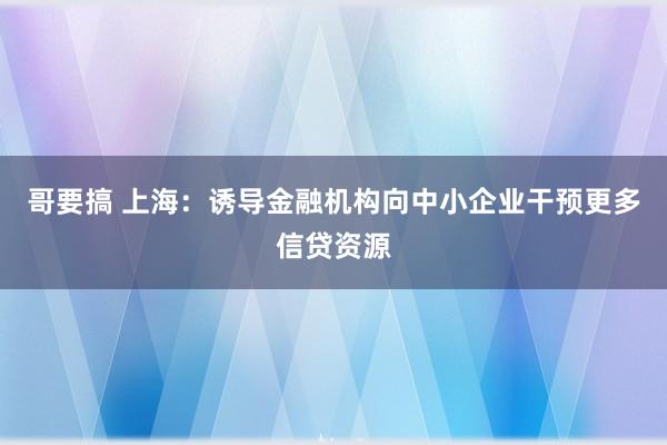 哥要搞 上海：诱导金融机构向中小企业干预更多信贷资源