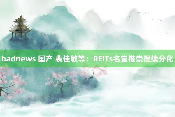 badnews 国产 裴佳敏等：REITs名堂推崇捏续分化