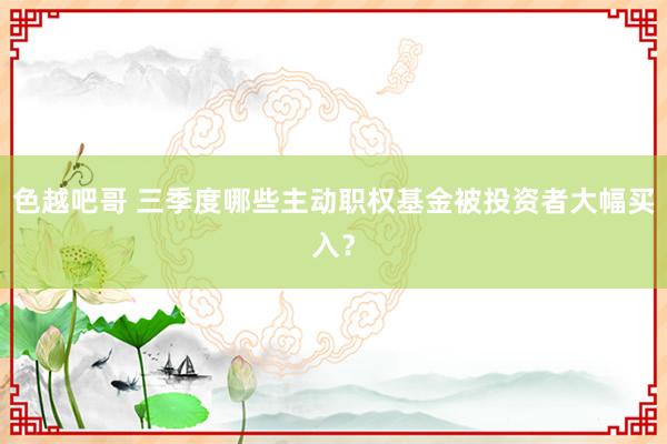 色越吧哥 三季度哪些主动职权基金被投资者大幅买入？