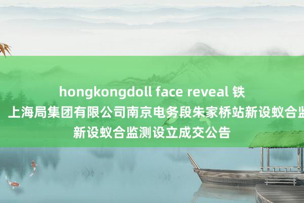 hongkongdoll face reveal 铁大科技中标遵守：上海局集团有限公司南京电务段朱家桥站新设蚁合监测设立成交公告