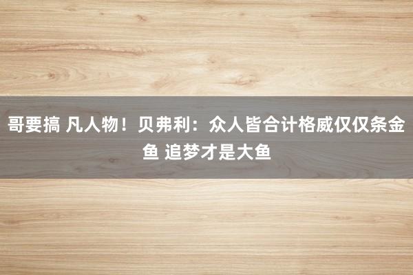 哥要搞 凡人物！贝弗利：众人皆合计格威仅仅条金鱼 追梦才是大鱼