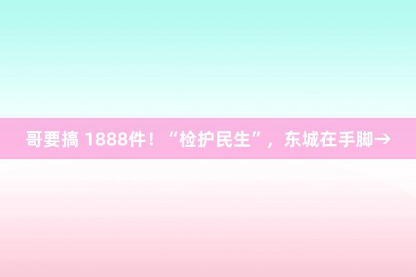 哥要搞 1888件！“检护民生”，东城在手脚→