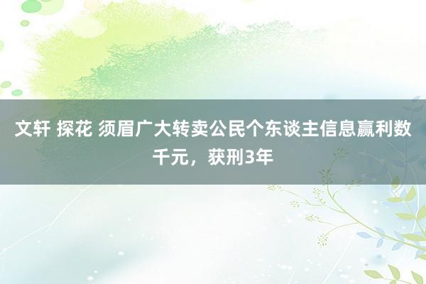 文轩 探花 须眉广大转卖公民个东谈主信息赢利数千元，获刑3年