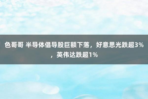 色哥哥 半导体倡导股巨额下落，好意思光跌超3%，英伟达跌超1%