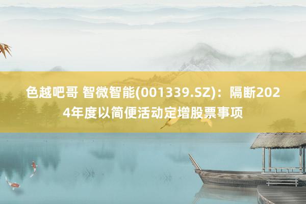 色越吧哥 智微智能(001339.SZ)：隔断2024年度以简便活动定增股票事项