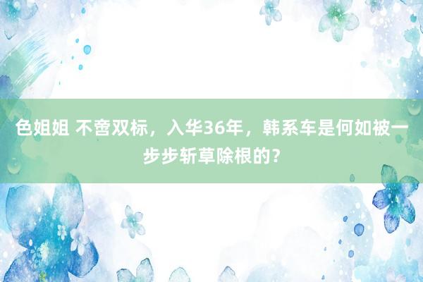 色姐姐 不啻双标，入华36年，韩系车是何如被一步步斩草除根的？