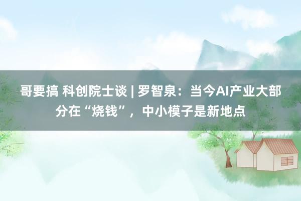 哥要搞 科创院士谈 | 罗智泉：当今AI产业大部分在“烧钱”，中小模子是新地点