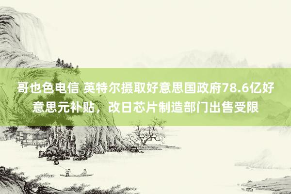 哥也色电信 英特尔摄取好意思国政府78.6亿好意思元补贴，改日芯片制造部门出售受限