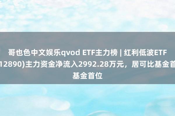 哥也色中文娱乐qvod ETF主力榜 | 红利低波ETF(512890)主力资金净流入2992.28万元，居可比基金首位