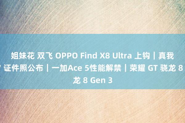 姐妹花 双飞 OPPO Find X8 Ultra 上钩｜真我 Neo7 证件照公布｜一加Ace 5性能解禁｜荣耀 GT 骁龙 8 Gen 3