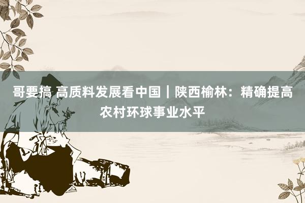 哥要搞 高质料发展看中国｜陕西榆林：精确提高农村环球事业水平